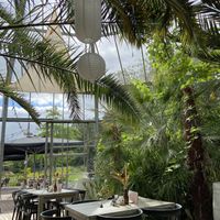 Beautiful greenhouse structure  at De Oranjerie in Joure