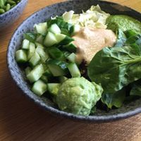 Salad with hummus, vegan pesto and avocado at 42°Raw in Copenhagen