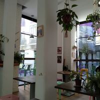 Interior at Almalibre Açaí House in Madrid