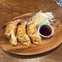 fried vegetable dumplings at Ryukishin - Eiffel in Paris