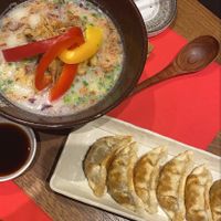 Vegan ramen and vege gyozas at Ryukishin - Eiffel in Paris