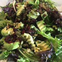 Avocado Salad  at Veg in Sarasota