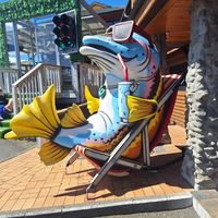  at Social Club in Taupo