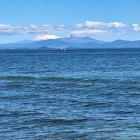  at Social Club in Taupo