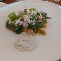 White asparagus, muscat, lavender amind ricotta  at Millennial Dining and Deli - 천년식향  in Seoul