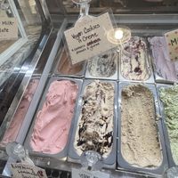 2 vegan selections today   at Cream Bean Berry in Durango