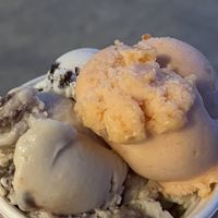 4 scoops  at Cream Bean Berry in Durango