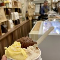   at La Gelatiera in Florence