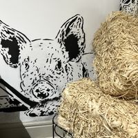   at My Green Pastry in Porto