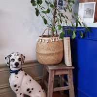  at My Green Pastry in Porto