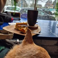 Dog friendly + lovely flan and latte #Veganuary at My Green Pastry in Porto