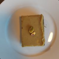 Pistachio at Contribution in Louvain-la-neuve