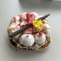  Noisettier 8€  at Contribution in Louvain-la-neuve