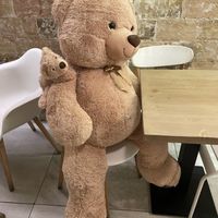 Lilo bear  at Lilo Cafe in Barcelona