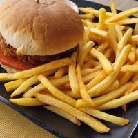 Jackfruit Burger with fries at N1 in Egilsstadjir