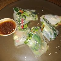 Fresh Spring Rolls at STAN & CO in Arnhem