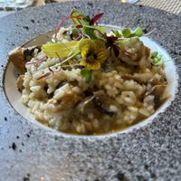 Risotto  at Gavino Restaurante Bar in Funchal