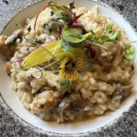 Risotto  at Gavino Restaurante Bar in Funchal