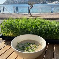 They REALLY love their microgreens😉 at Superfood.Garden in Mallorca