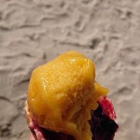 Found a hair at Hedgard Maître Artisan Glacier in Pornichet