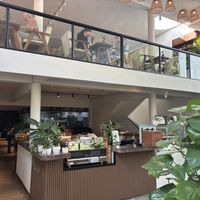   at Backyard Cafe - Street 240 in Phnom Penh