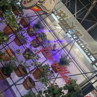   at Dharma Southern Kitchen in Sanford