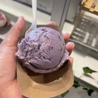 blueberry lavender  at The Greenery Creamery in Sanford