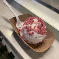 mint stracciatella with hibiscus crystals  at The Greenery Creamery in Sanford