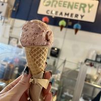 Vegan scoop with sugar cone   at The Greenery Creamery in Sanford