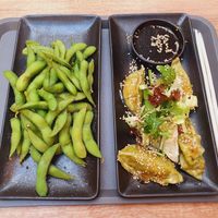 Edamame and gyoza at Saku Express in Potsdam