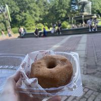 Cinnamon sugar donut  at Dough Doughnuts - Flatiron in New York City