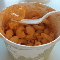 Mac 'n Cheese - awesome spiral noodles at City Cakes and Cafe in Salt Lake City