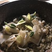 Risotto from celeriac and potatoes with leek and heaps of truffle at Hofke van Bazel in Kruibeke