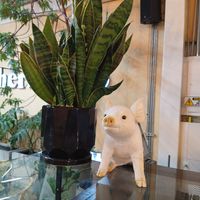 💜🖤❤️ at Herbívoro- Chapinero in Bogota