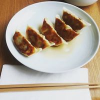 Vegan gyoza at Aoyama in Lille