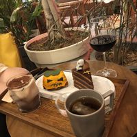 Cakes at Cafe Turtle 카페 거북이 in Seoul