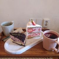  at Cafe Turtle 카페 거북이 in Seoul