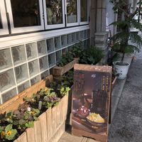 Entrance  at Cafe Turtle 카페 거북이 in Seoul