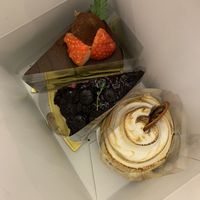   at Cafe Turtle 카페 거북이 in Seoul