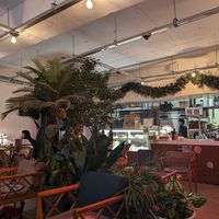  at Cafe Turtle 카페 거북이 in Seoul