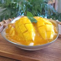 Mango Bingsu at Cafe Turtle 카페 거북이 in Seoul
