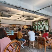 Interior taken from the corner towards the counter. at Cafe Turtle 카페 거북이 in Seoul