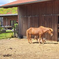  at Biohofladen Overmeyer in Seevetal