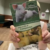   at The Vegano Bistro in Chiang Mai