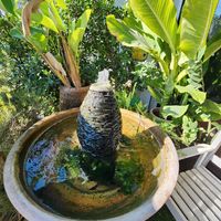  at The Vegano Bistro in Chiang Mai