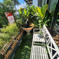  at The Vegano Bistro in Chiang Mai