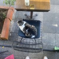   at Veganarsist Kadıköy - Osmanağa in Istanbul