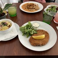 Schnitzel and Potato salad, mushroom gulasch at Velani in Vienna