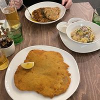 Schnitzel, goulash with dumplings at Velani in Vienna