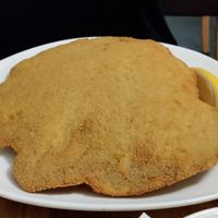 Schnitzel the size of your head! at Velani in Vienna